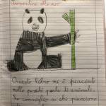 ELENA BERGAMASCHI